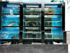 -忆湖品鱼馆(千岛湖风景区店)