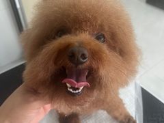 -味多美蛋糕(旧头路店)