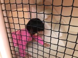 -孩子王童乐园(成都吾悦广场店)