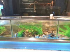 -V-ONE西雅图海鲜自助餐厅(仓山万达广场店)