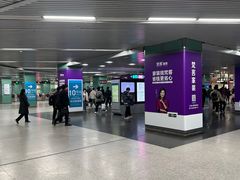 -宋家庄(地铁站)
