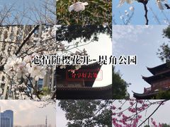 -堤角公园