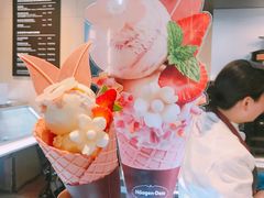 春日捧花丹麦筒冰淇淋-哈根达斯(虹口店)