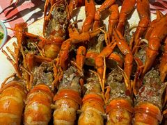-江味龙虾馆·裸蓝龙虾(南山店)