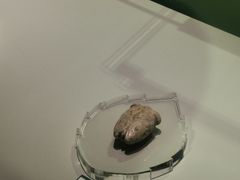 -安阳博物馆