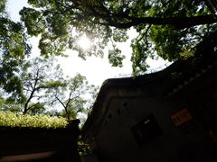 -潭柘寺景区