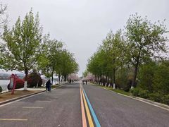 -羊山湖公园