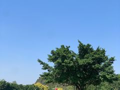 -南宁花花大世界景区