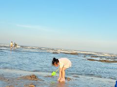 -日照海滨国家森林公园