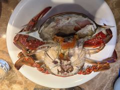 -老大连·海肠捞饭·大连海鲜大连菜(西安路店)