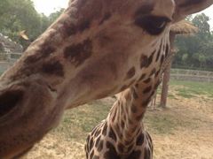 android_upload_pic-石家庄市动物园