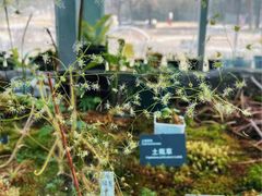 -国家植物园南园