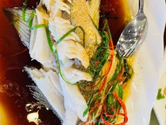 -化州大众美食城(宝安老牌店)