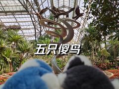 -南山植物园
