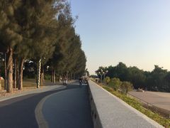 -宝安西湾红树林湿地公园