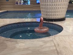 -美姿水荟美食水疗