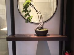 -豫丰汇河南名菜楼(武记餐饮)