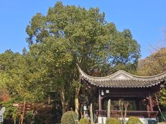 -虞山风景区