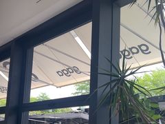 -gaga(深圳南山益田假日广场店)