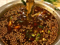 -胖大姐黄辣丁鱼庄(新津店)