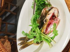 -老凯俚酸汤鱼(省府店)