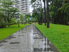 -荔湾湖公园