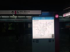 -大龙山(地铁站)