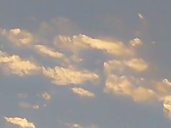 -新江湾城公园