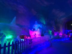-世界之窗阿尔卑斯冰雪世界