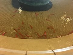 -蓝堡俱乐部