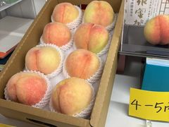 -老袁家蜜桃农场·阳山水蜜桃