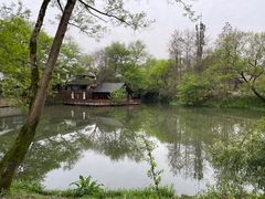 -西溪国家湿地公园