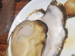 -蚝堡海鲜·威海菜·海肠捞饭·烧烤·亚洲吃蚝公司(幸福门店)