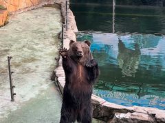 -深圳野生动物园