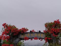 -天适樱花悠乐园