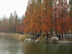 -国家植物园南园