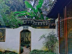-秋霞圃
