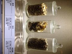 青藏高原自然博物馆-青藏高原自然博物馆