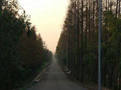 -上海长兴岛郊野公园