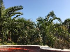 -咸宁万豪温泉谷度假区