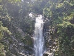 -鼎湖山风景区