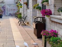 -华谊兄弟（长沙）电影小镇