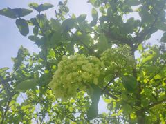 -白塘生态植物园