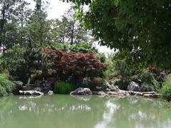 -青枫公园