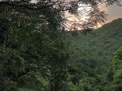 -象头山国家级自然保护区