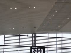 -广州白云国际机场-T2航站楼