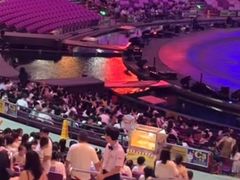 -广州长隆国际大马戏