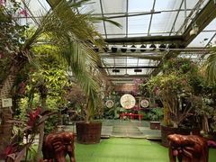 -呀路古热带植物园
