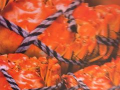 -牛New寿喜烧(金鹰世界店)