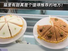 -猫里有甜